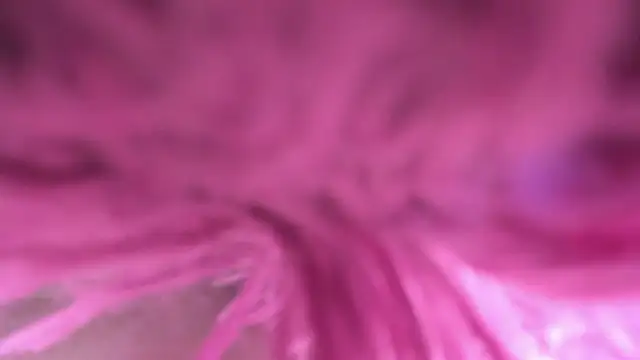 Živá chatovací místnost martinaclark