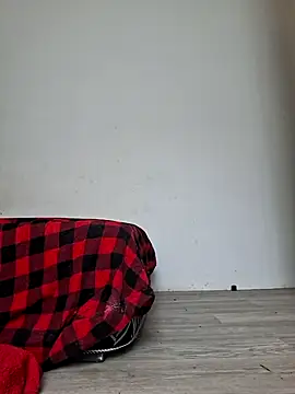 Kamdollie Live Chatraum