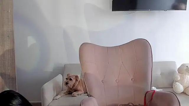 Chatroom en direct de selene_king2