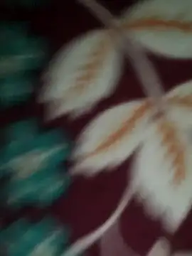 Sexynageena Live Chatraum