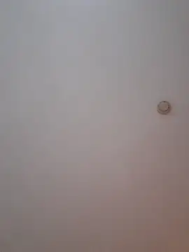 Sala de chat ao vivo de MissVegas
