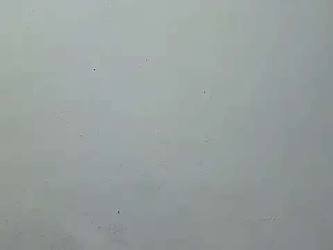 Pinnay élő chatszobája