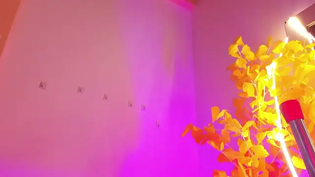 HaleyAmaya 실시간 채팅방