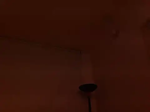 Violet_Donell Live Chatraum