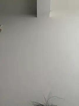 Sala de chat en directo de shiruTami
