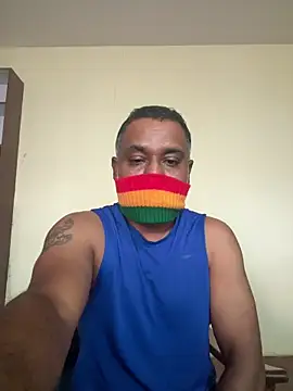 syntaxbear Live Chatraum