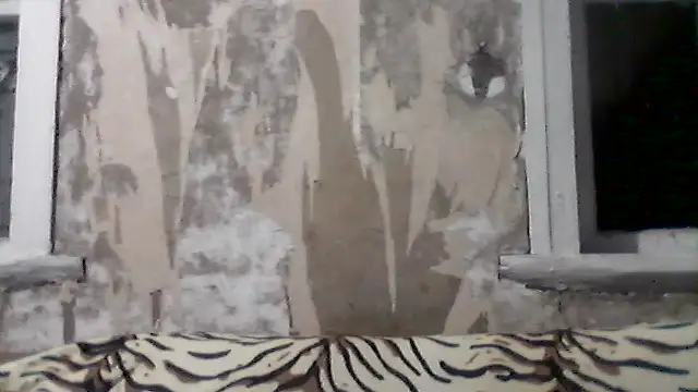 AllinaKis Cameră chat live