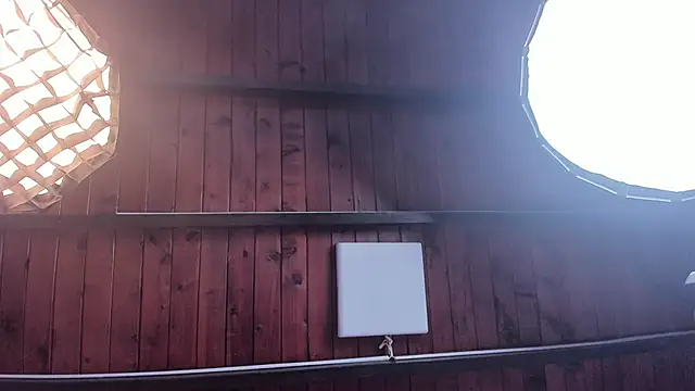 barbara_cambels чат на живо