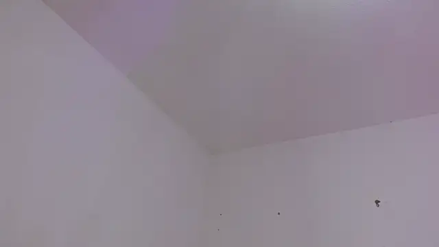חדר צ'אט בשידור חי של dulce_melocoton