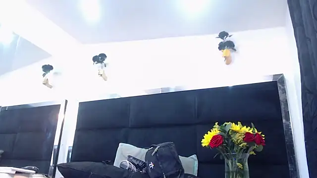 StefyFerrer Live chatroom