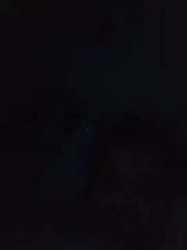 Sala de chat en directo de basssat