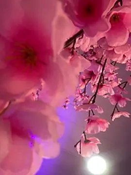 חדר צ'אט בשידור חי של Violetbellarose1