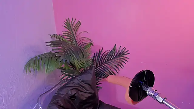 Lia_owenss Live Chatraum