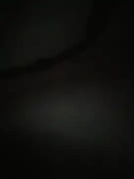 momo_loves чат на живо