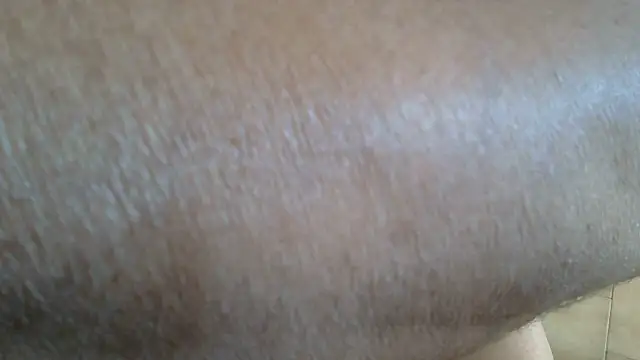 Area_76 Live Chatraum
