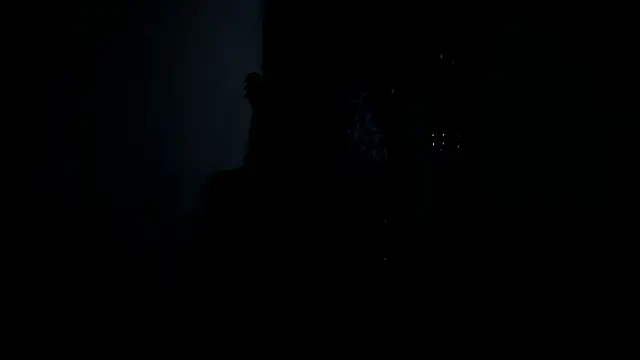 VincentSavageのライブチャットルーム