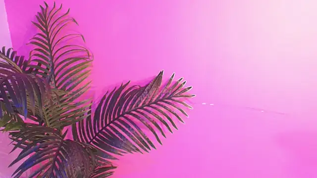 Lana_ortega Live Chatraum