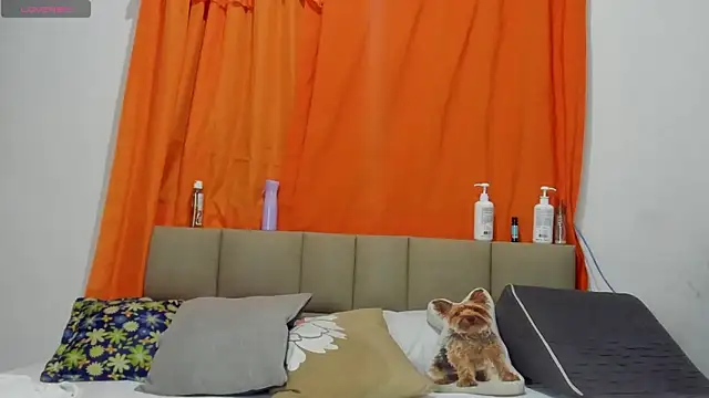 Živá chatovací místnost lilybaudyn_