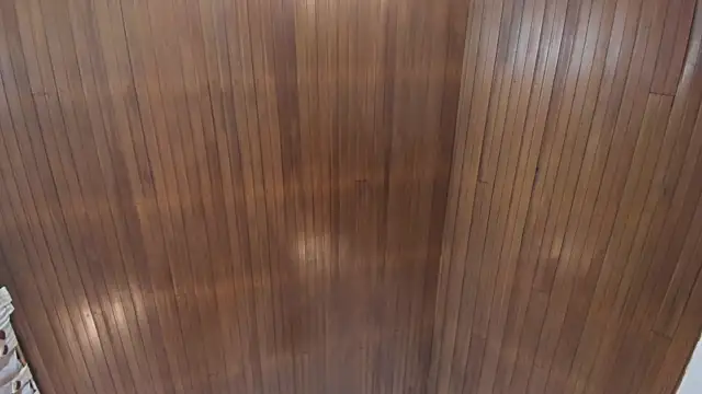CelessteRedds 실시간 채팅방