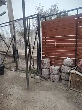 28Conejo31 Cameră chat live