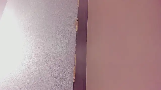Hydan_ Cameră chat live