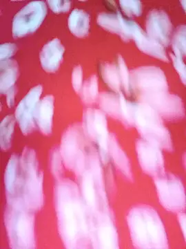 Misaudibel Cameră chat live
