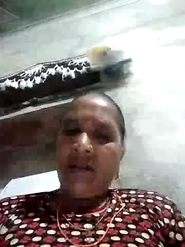 Chatroom en direct de Loomaraj