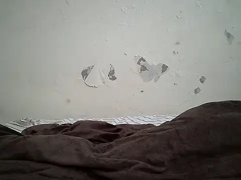 cockdory Live Chatraum