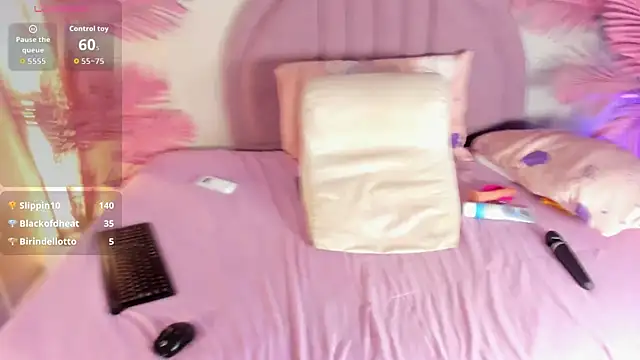 Nalapalmer Cameră chat live