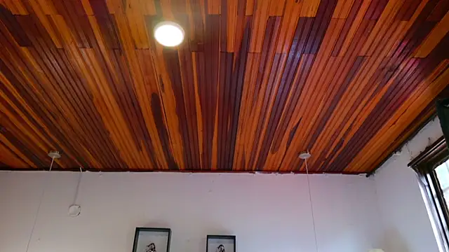 katiamoree Ruang Obrolan Langsung