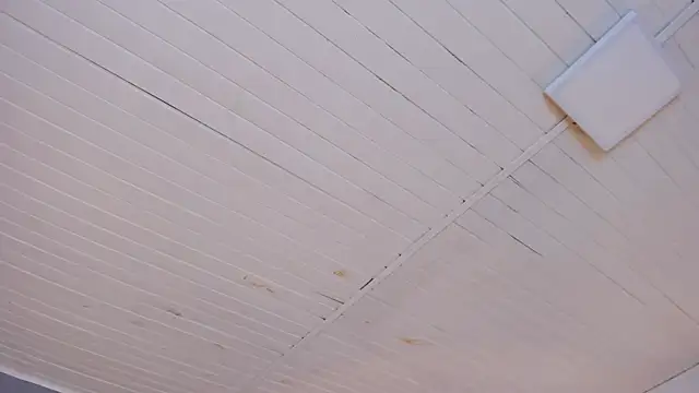 BellaBoobs_ – Naživo XXX chat