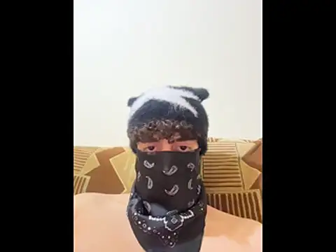 Hz1Trのウェブカメラショー