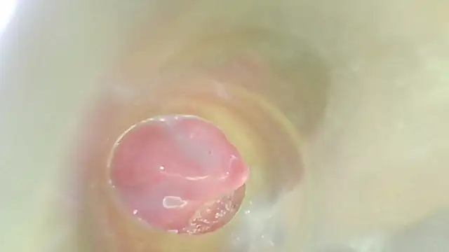 karol_stom 실시간 채팅방