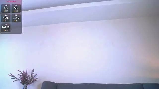 Živá chatovací místnost Erectioneering