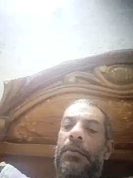 msmsg élő chatszobája