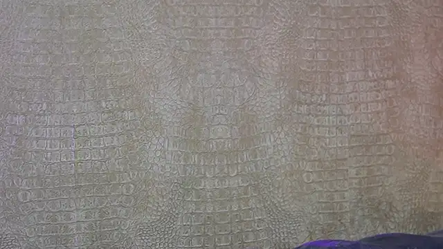 Živá chatovací místnost KimJada