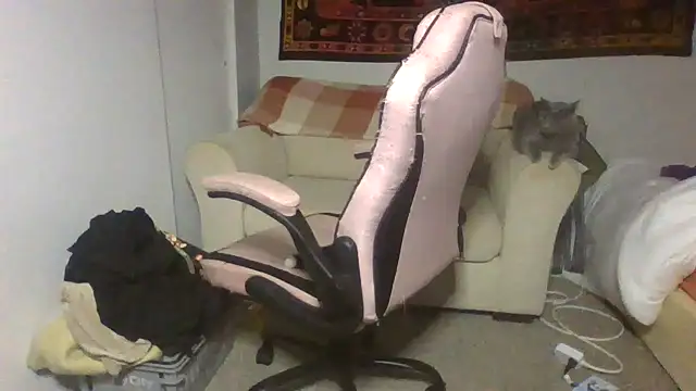 madzbailey's Live Chat Room