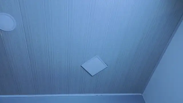 ninna_curly Live Chatraum
