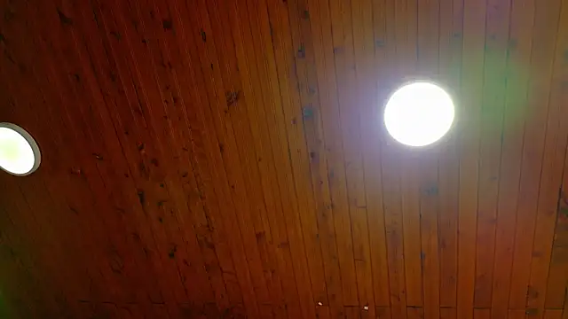 ShelyEvans__ 실시간 채팅방