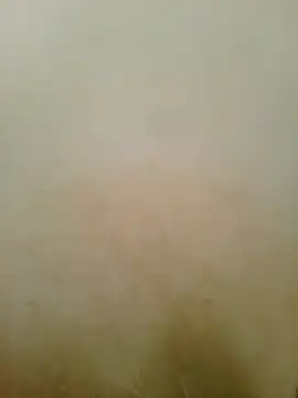 sl_kella2003 Live Chatraum