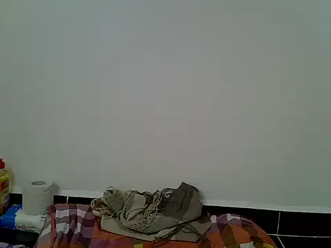 Calmfolower 现场聊天室