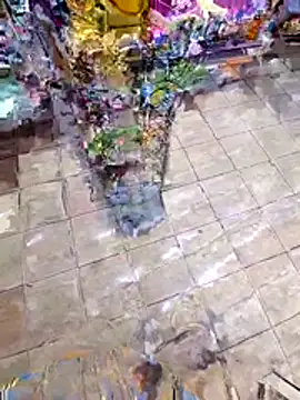 Lizydani Live Chatraum