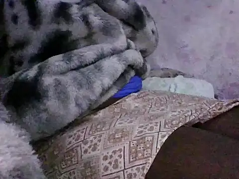 lucyswee Cameră chat live