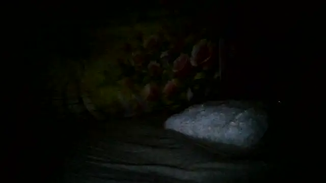 ห้องแชทสดของ sweethanajapanese