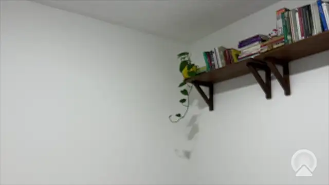 ItsVelour Live Chatraum