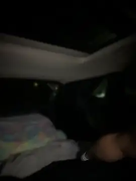 BaileyMFox 실시간 채팅방