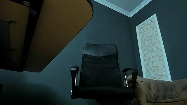 חדר צ'אט בשידור חי של BrianHunts