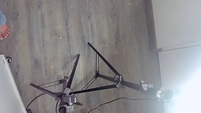 emily__dee 실시간 채팅방