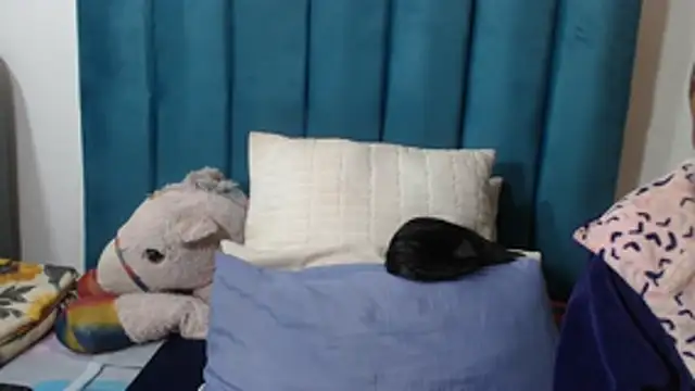 THICKPUSSYDIVAX_ Live Chatraum