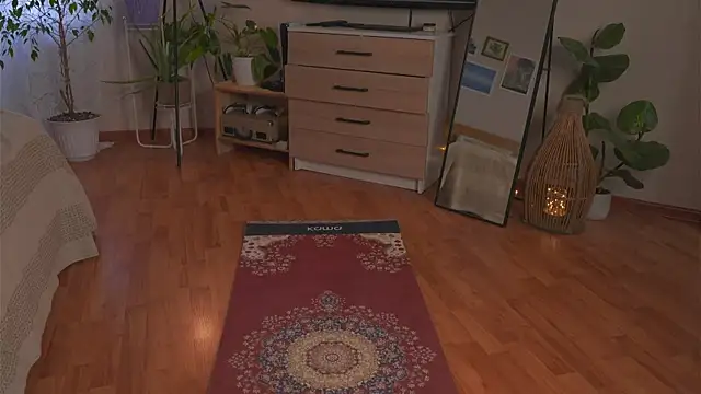 Živá chatovací místnost DinaCookies